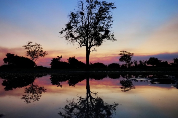 Botswana Sunset