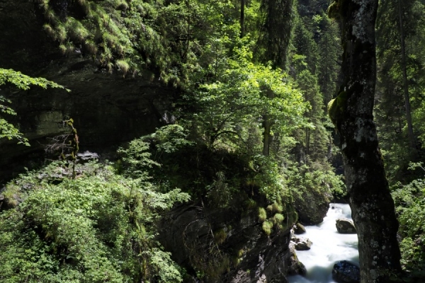 Breitachklamm