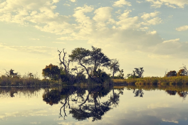 Mirrored landscape