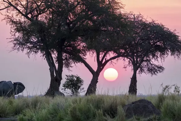 Ruckomechi Sunset