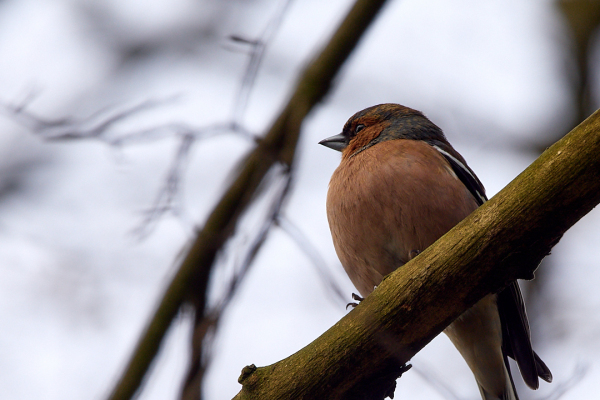P4050107_ISO200