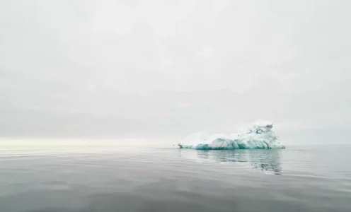 Images tagged "nebelhorn"