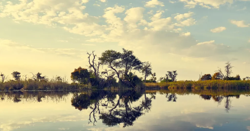 Landscape Vumbura Plains