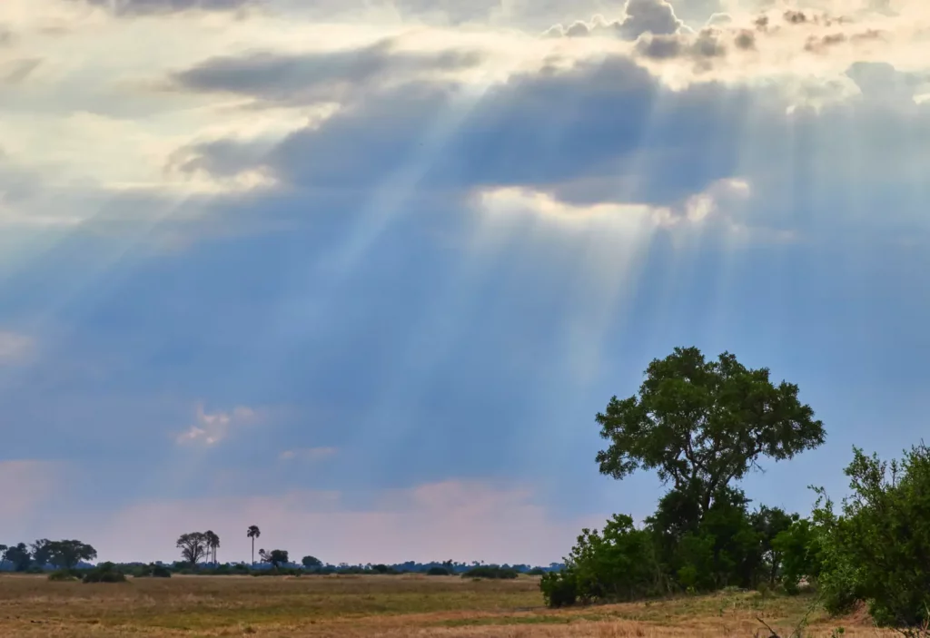 Botswana landscape with rain clouds