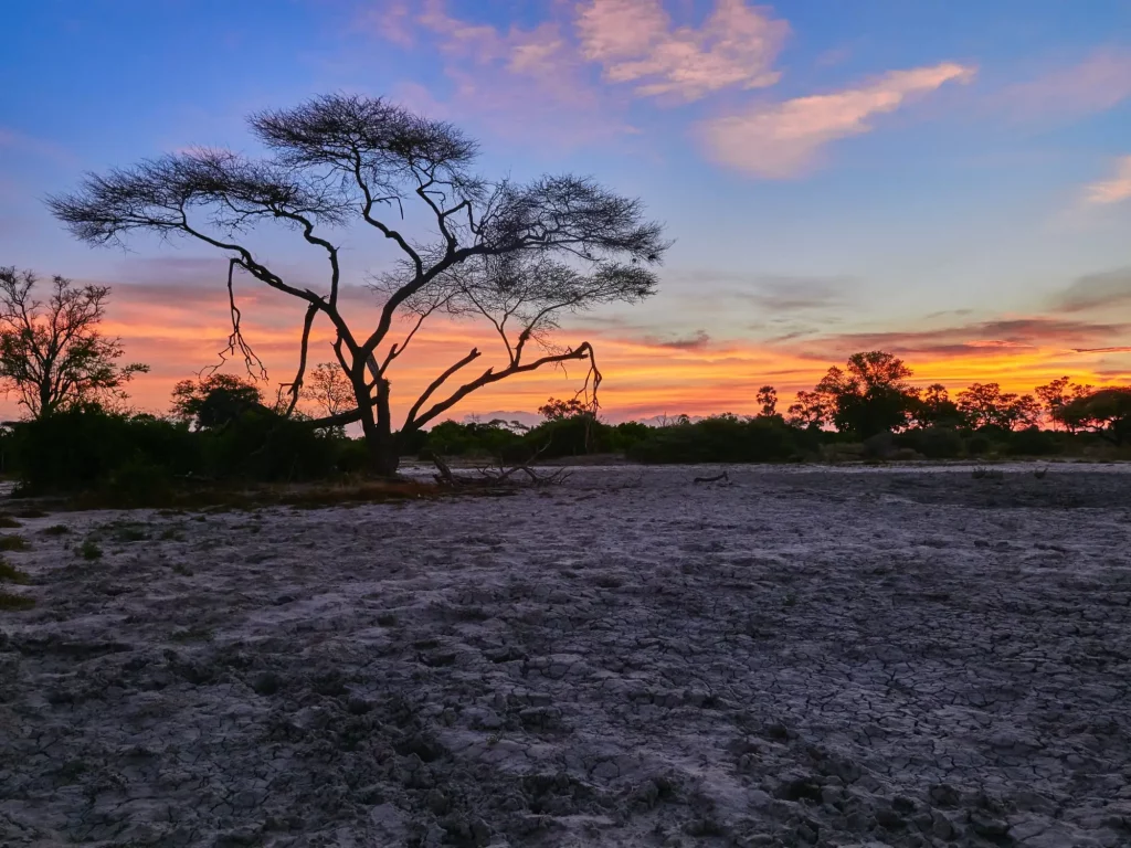 sunset in Botswana