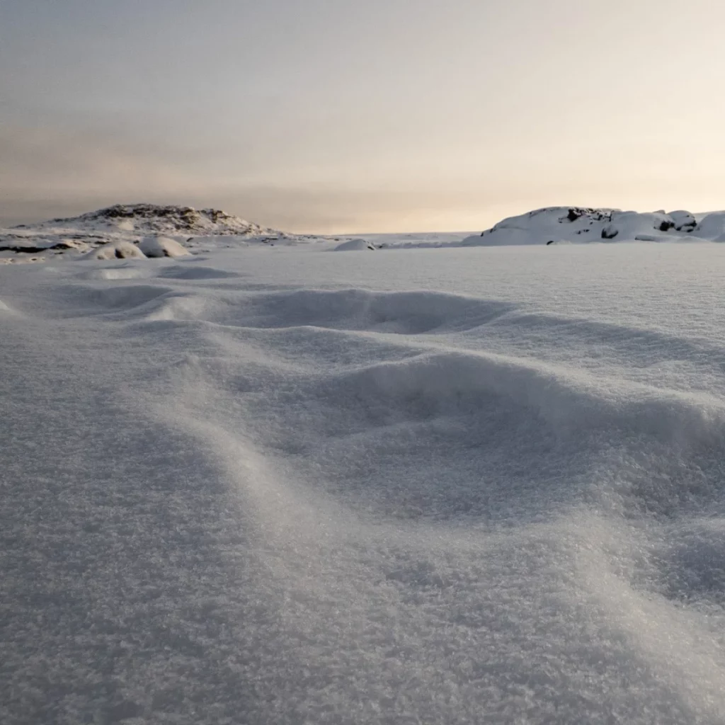 Polar bear tracks in the Arctic