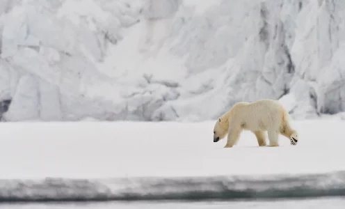 Bilder vom Smartphone laden – ohne die OM-1 einzuschalten