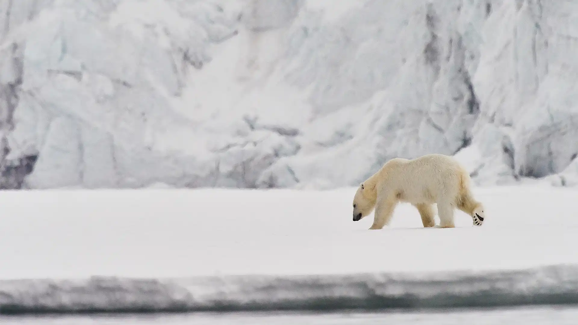 Bilder vom Smartphone laden – ohne die OM-1 einzuschalten