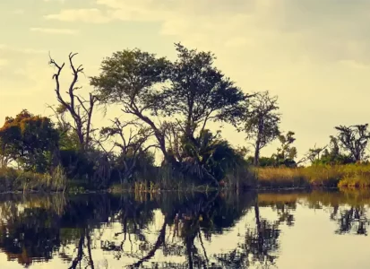 Landscape in Botswana