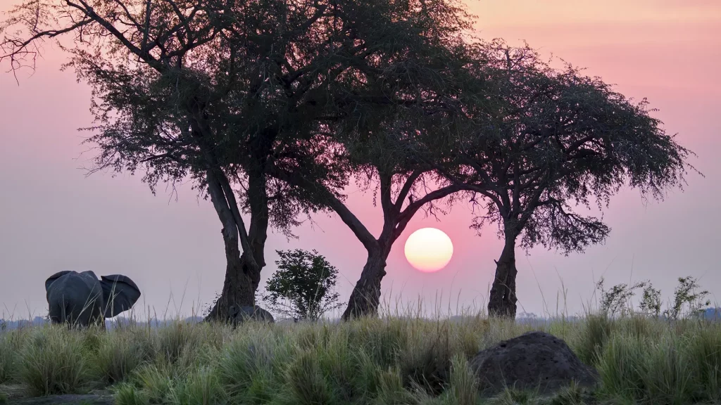 Sonnenuntergang am Sambesi in der Nähe vom Ruckomechie Camp