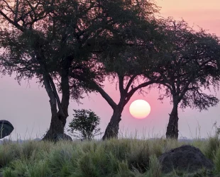 Sonnenuntergang am Sambesi in der Nähe vom Ruckomechie Camp