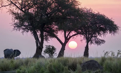 Simbabwe Rhythmus in Ruckomechi Camp & Little Makalolo