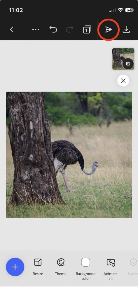 Bildschirmfoto Adobe Express