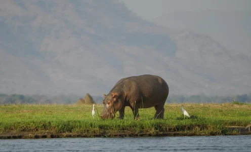 Workflow Bilder mobil zu teilen