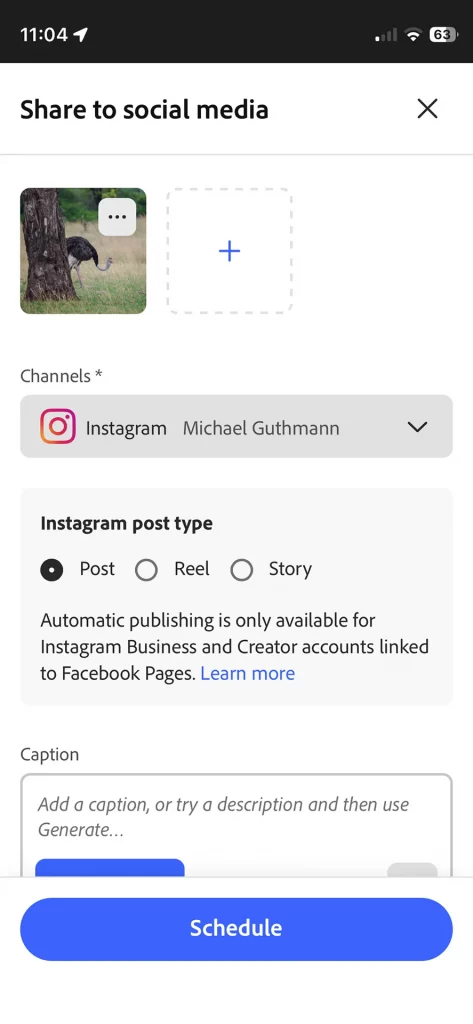Bildschirmfoto Adobe Express