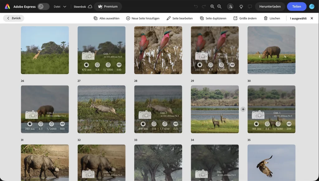 Adobe Express Bildschirmfoto