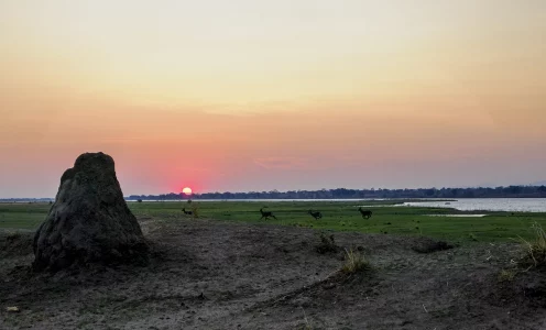 Schnell viele Social Media Posts erstellen