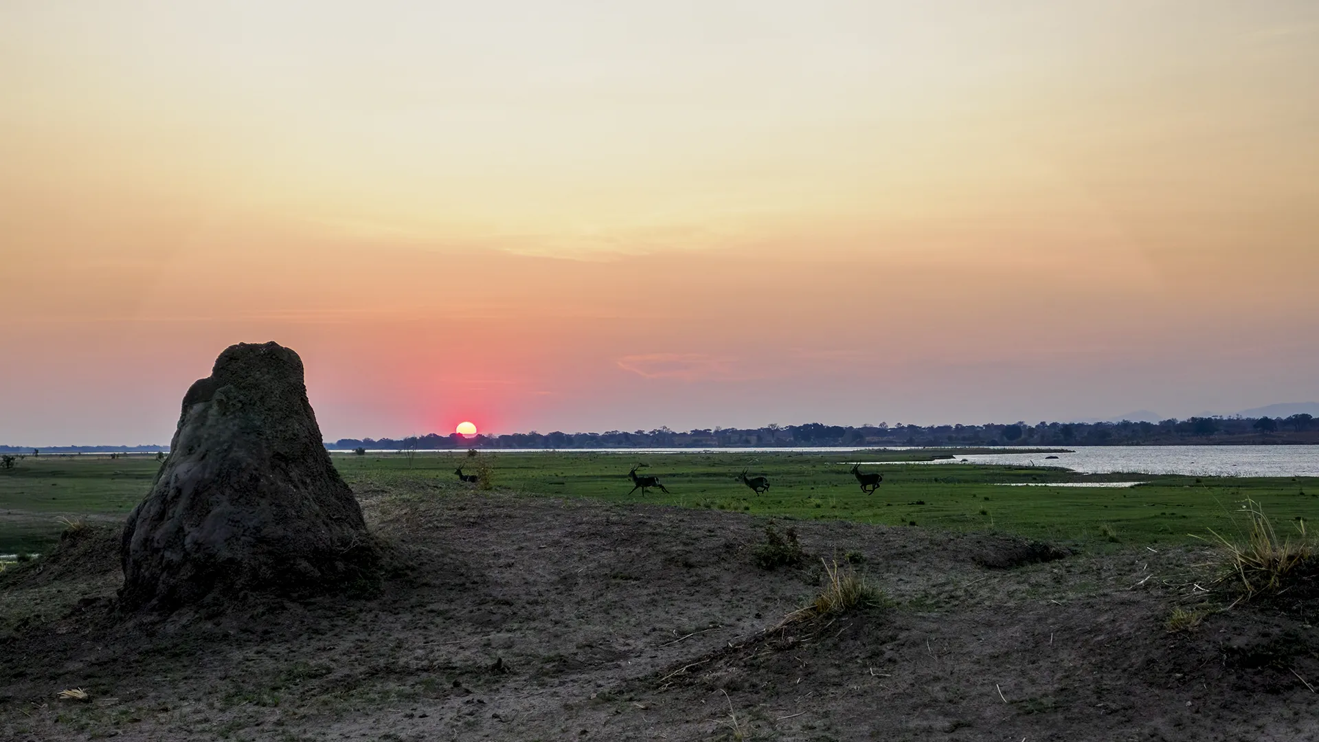 Schnell viele Social Media Posts erstellen