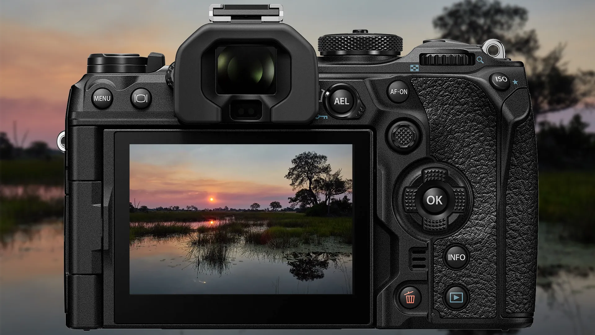 Wie nutze ich die beiden Kartenfächer der OM-1 am sinnvollsten?