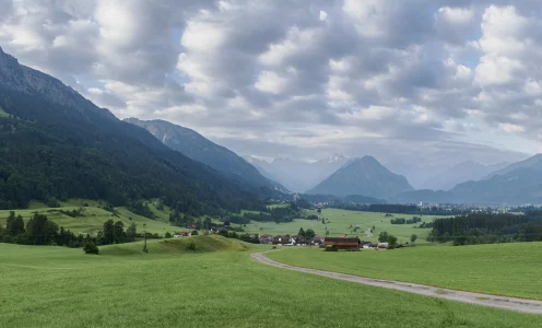 OM-1 Benutzermodi: Mein Setup für ProCapture und Panorama
