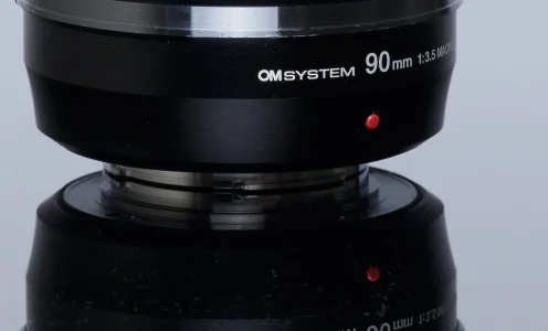 OM System Makroobjektive im Vergleich: 30mm, 60mm oder 90mm?