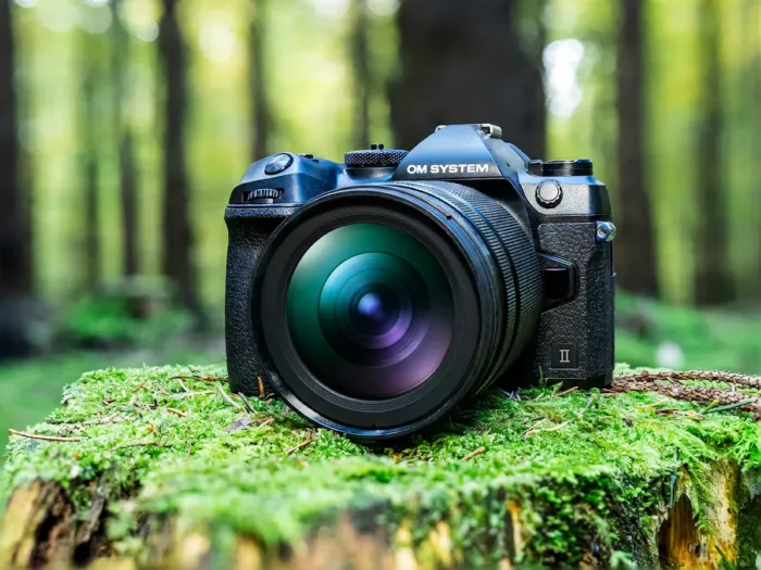 OM System OM-1 Mark II mit Weitwinkelobjektiv auf moosbewachsenem Baumstumpf im Wald