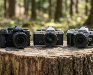 OM-1 Mark II, OM-3 und OM-5 Mark II im Größenvergleich nebeneinander im Wald